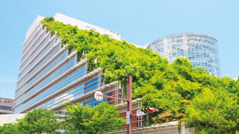 KENTLERE ÇİÇEK AÇTIRMAK